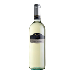 Campagnola Pinot Grigio del...